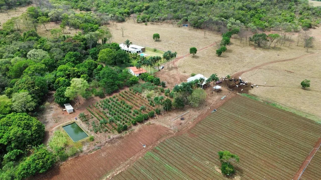 SITIO EM GOIANÁPOLIS GO - 12.80 ALQUEIRES - Foto 2