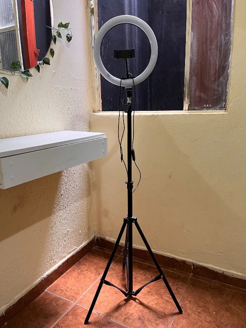 Ring light 