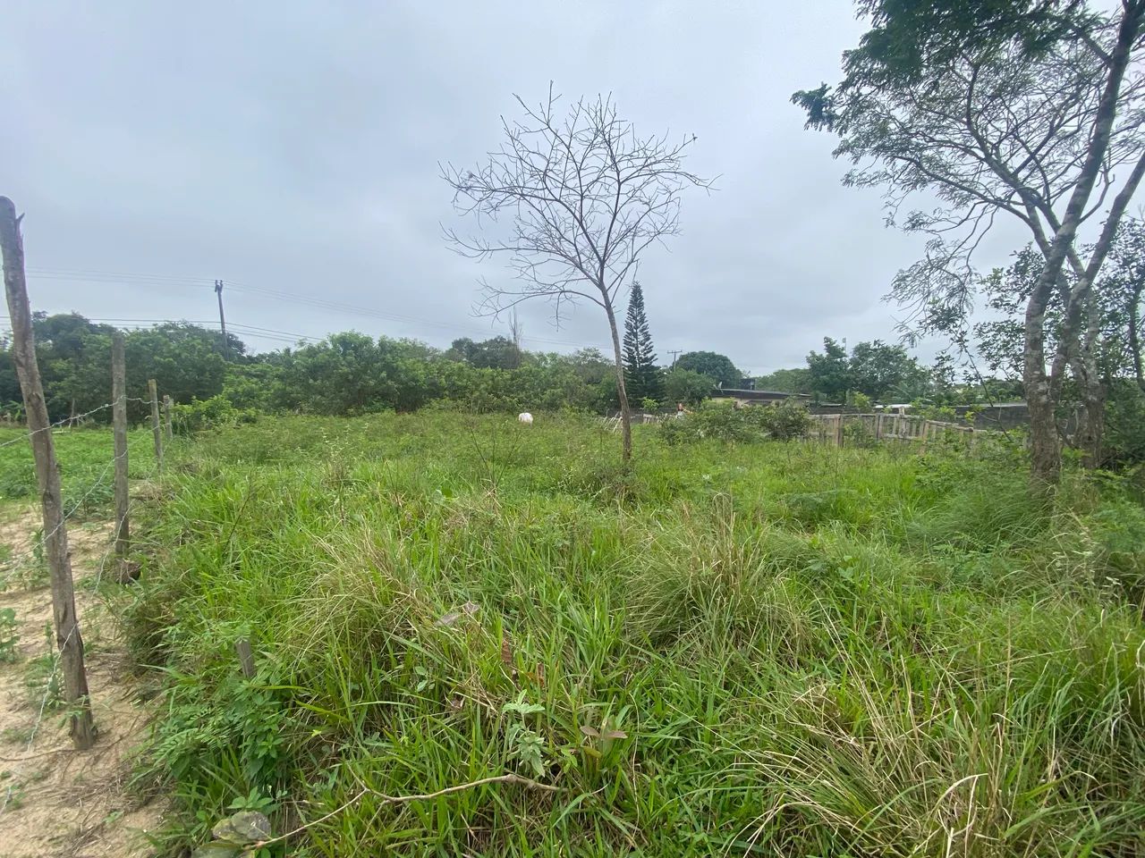 Terreno em Araruama com documento   - Foto 4