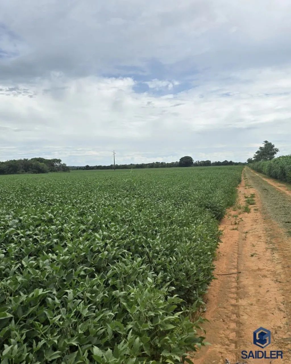 Fazenda em Água Boa MT - Foto 5
