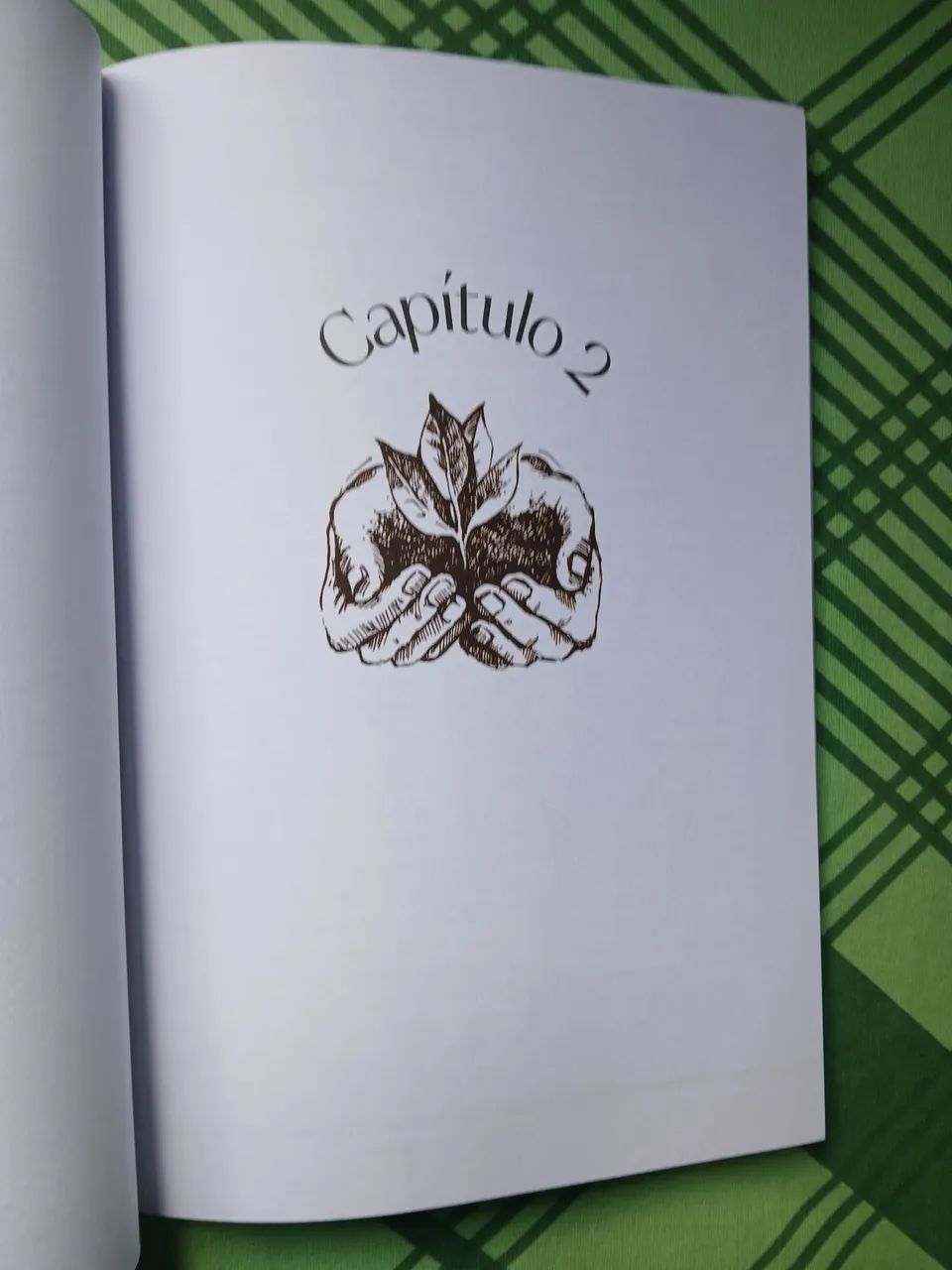 Livro O que é sustentabilidade. - Foto 5