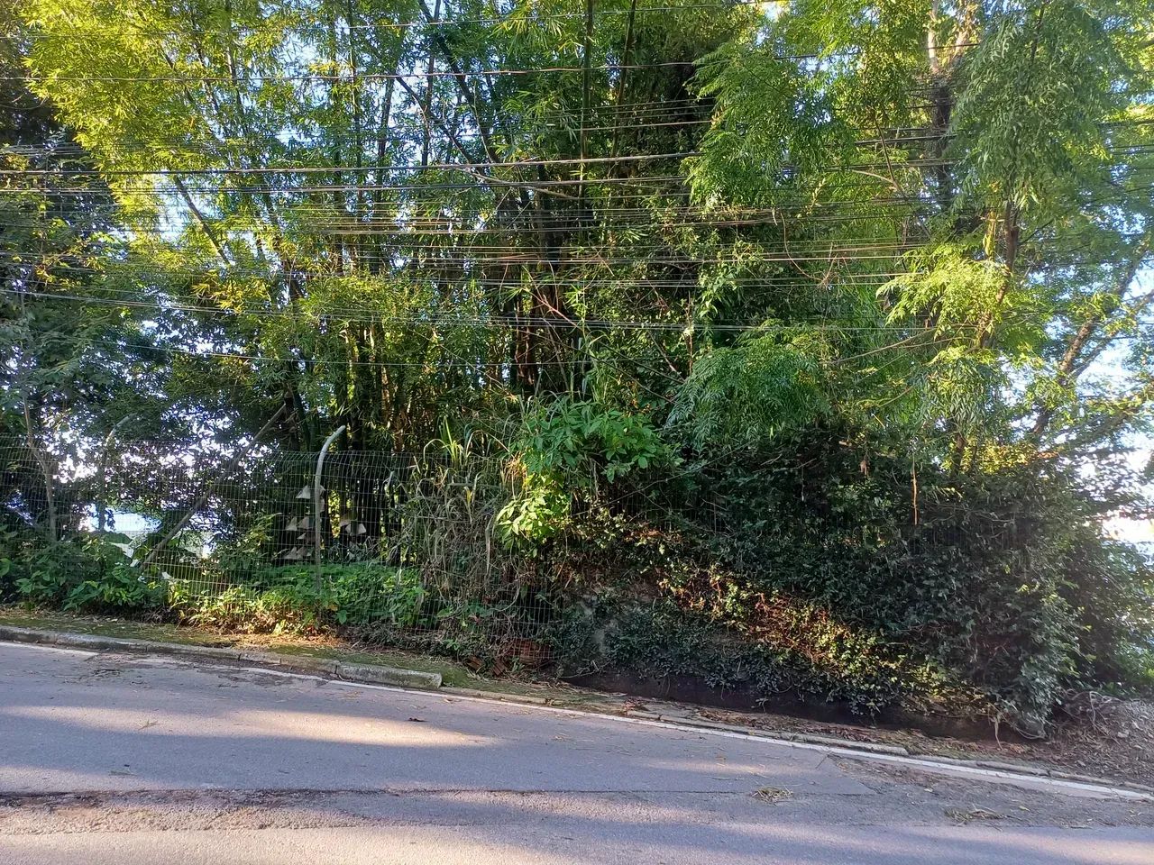 BROGNOLI VENDE - TERRENO AO LADO PONTE HERCÍLIIO LUZ - Foto 4