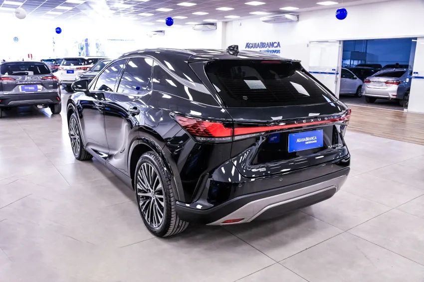 Lexus RX-450h 2.5 16V Aut. (híbrido), foto 7 de 19