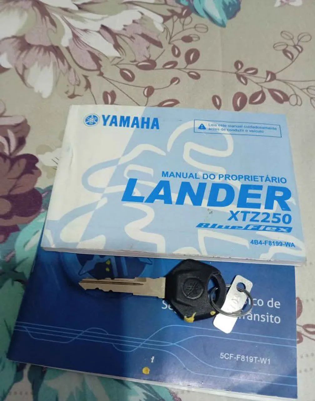 Lander 250 2017 blueflex  - Foto 4