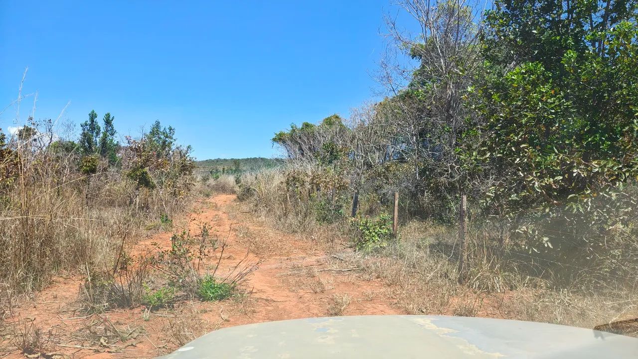 Fazenda a venda e flores de Goiás  - Foto 5