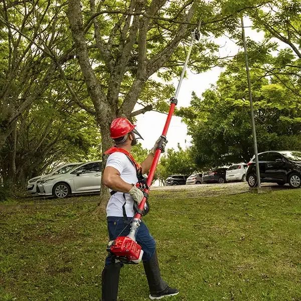 Motopoda Telescópica Gasolina - TPP33TX TOYAMA - Jardinagem e