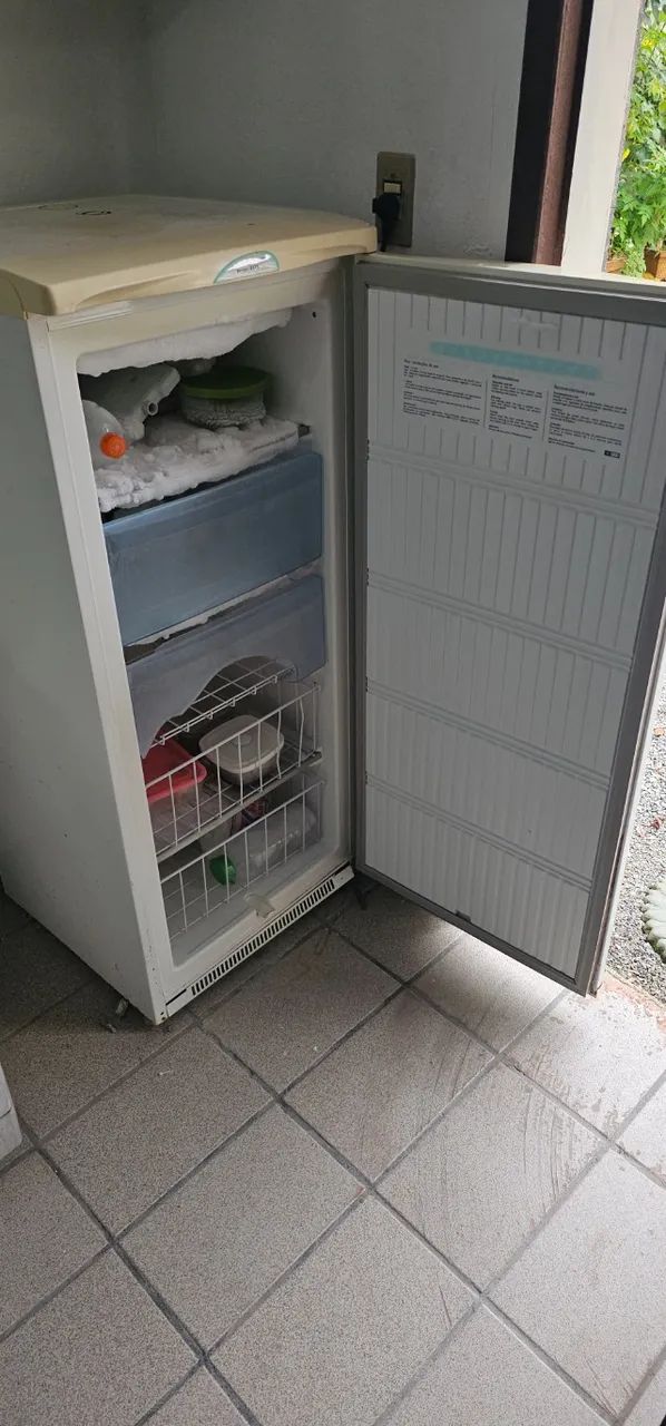 Freezer Eletrolux F-170