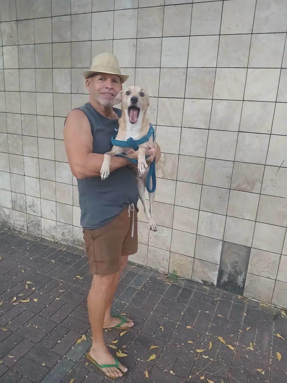 Cuidador de pet - Foto 5