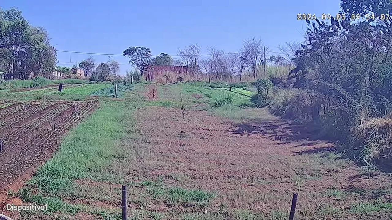 Lotes chão de estrelas  - Foto 2