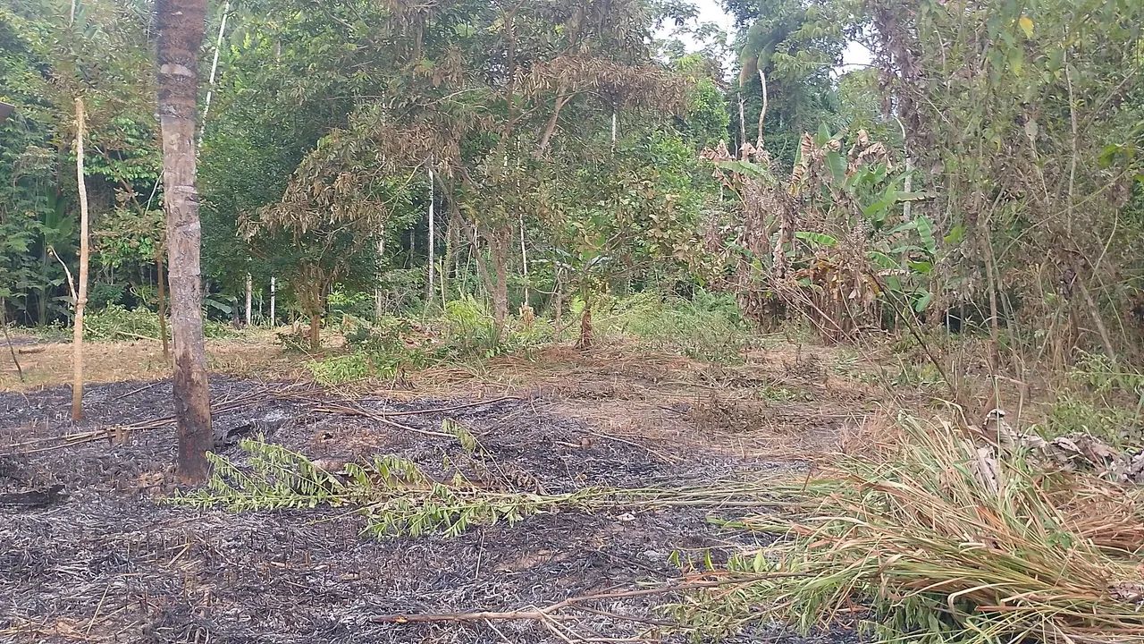 Vende-se lotes - Foto 3