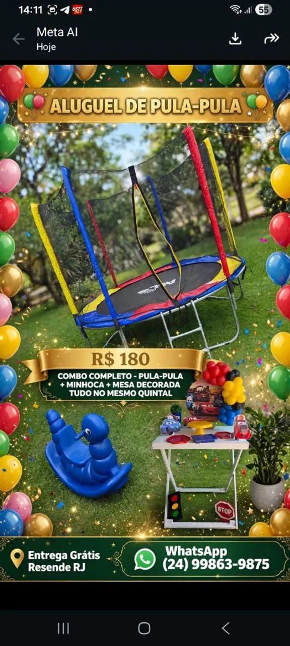 COMBO PULA PULA + MINHOCA + MESA DECORADA R$180 - ENTREGA GRÁTIS RESENDE