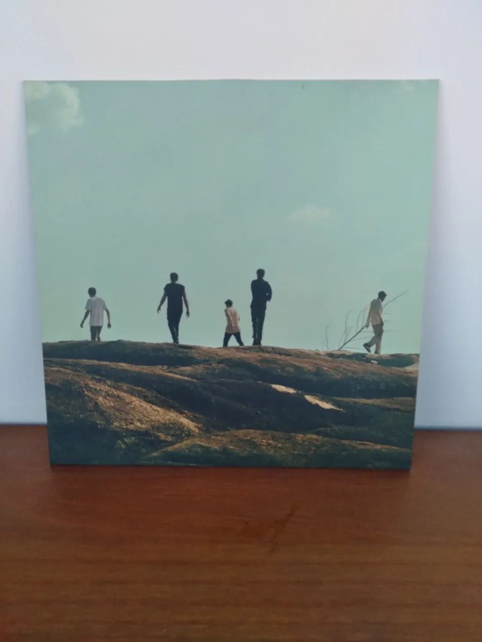 Vinil música - Foto 2