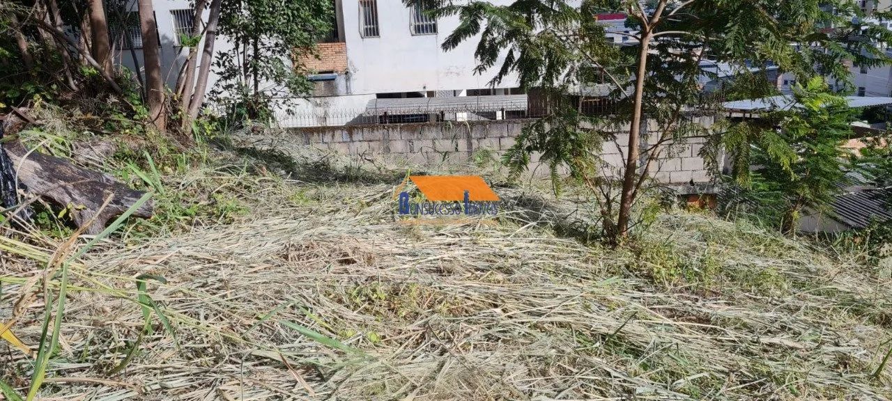 terreno no bairro Nova Floresta em belo horizonte - Foto 5