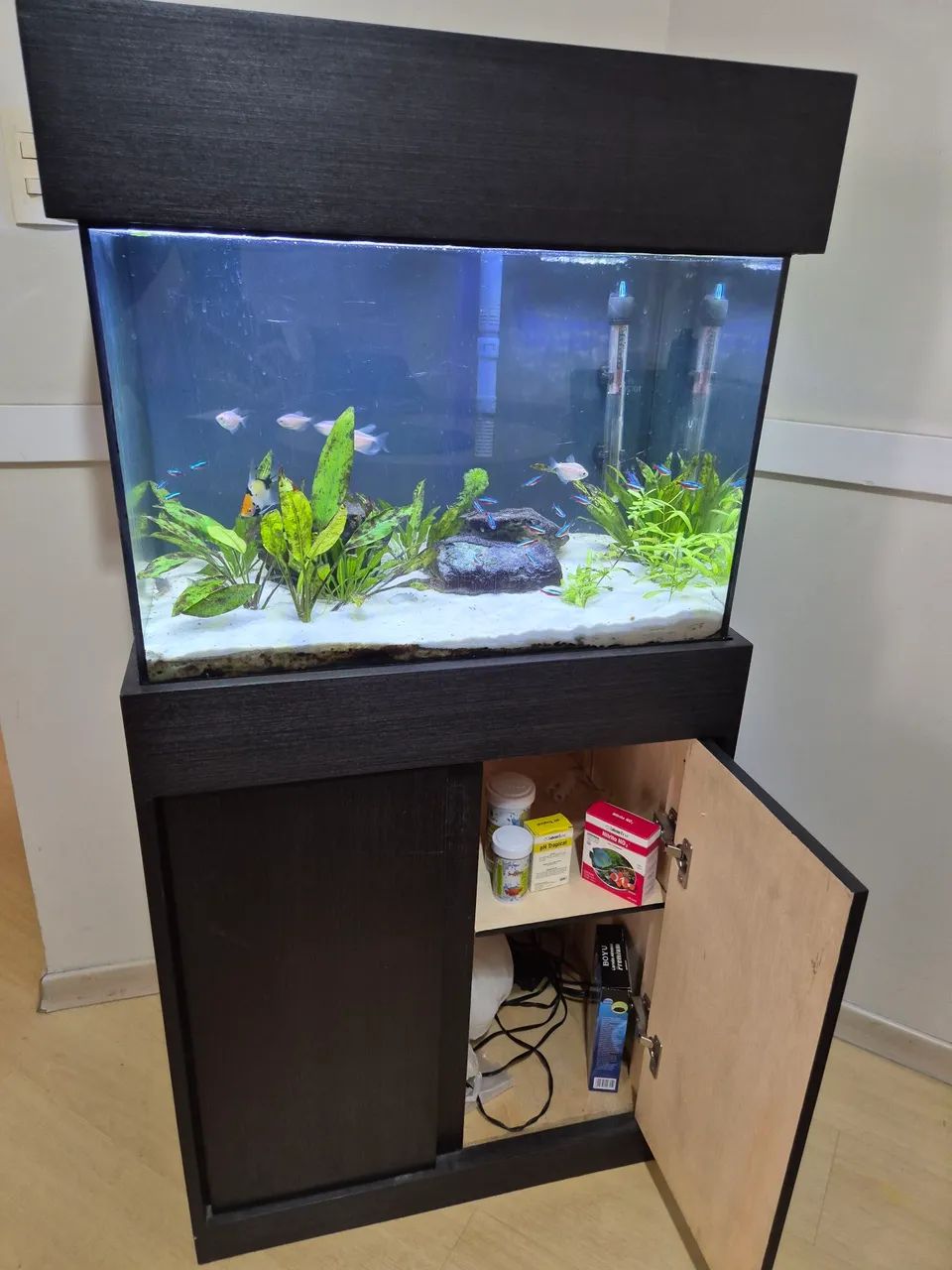 Aquário Amazônico - Foto 3