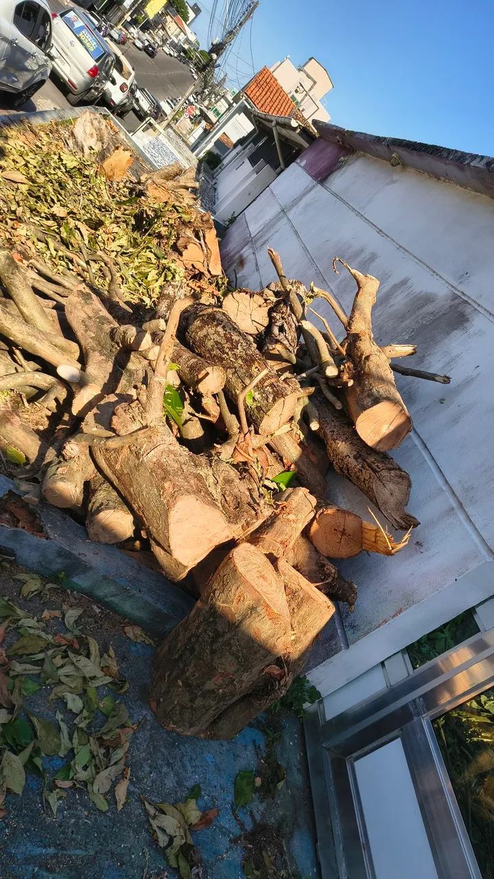 Podagem  - Foto 4