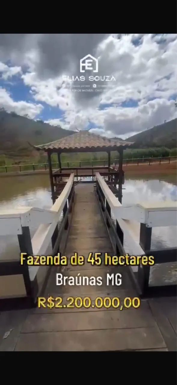 Venda 
