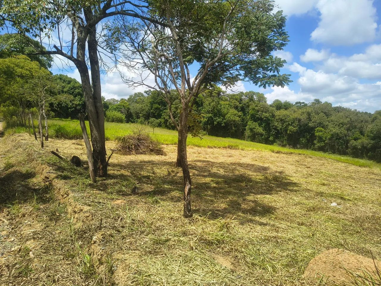 Terreno com ótima localização  - Foto 3