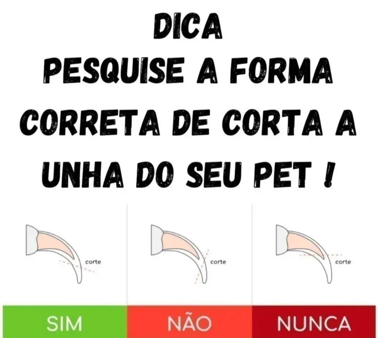 Alicate Cortador de unha de Cão e Gato 16cm - Foto 4
