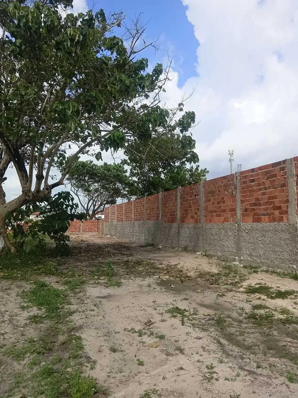 Terreno expoema aluguel - Foto 4