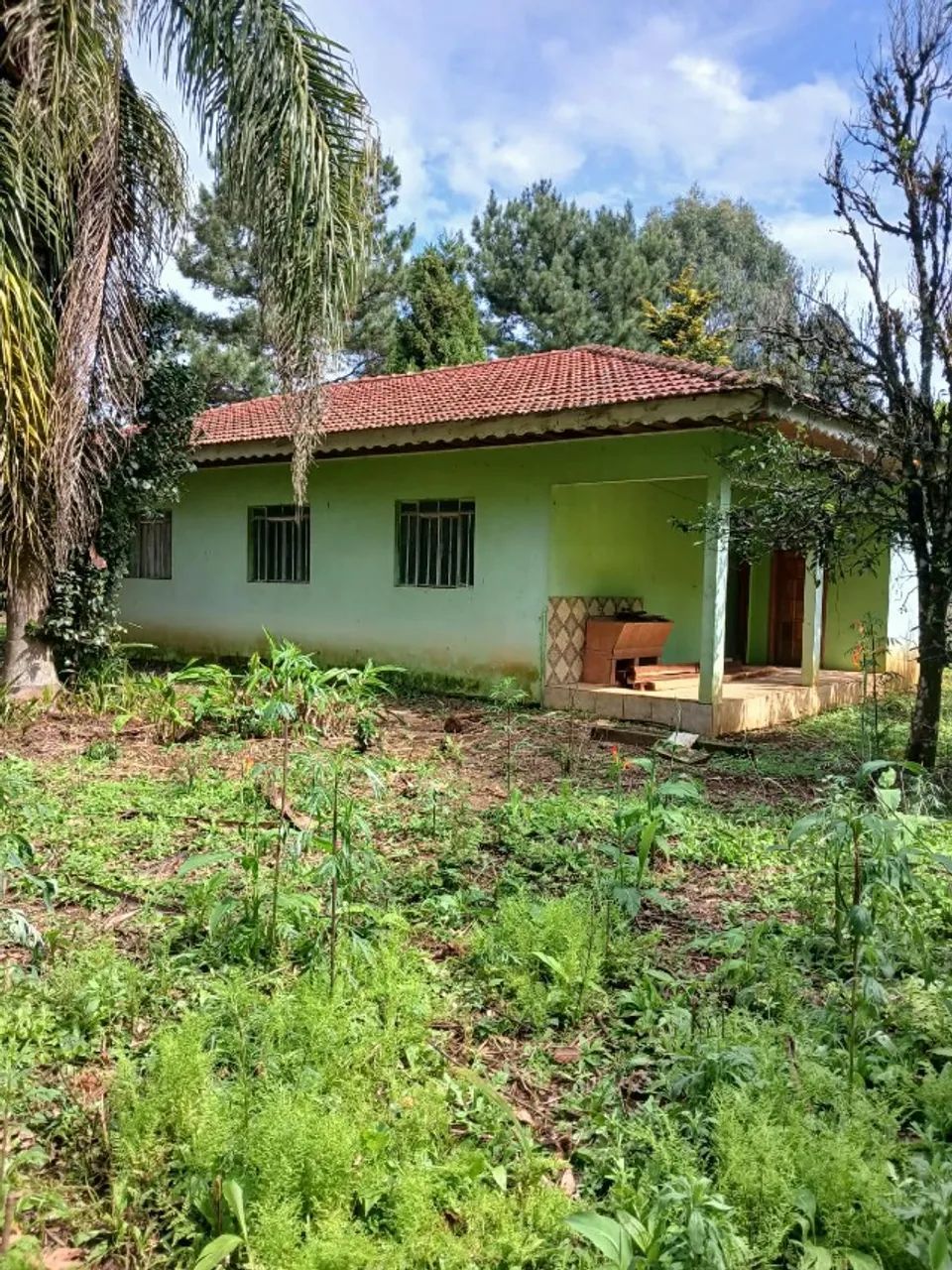 terreno - Foto 5