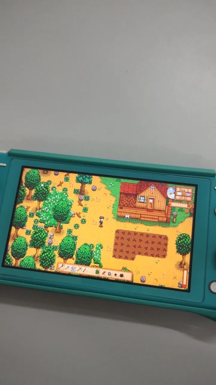Nintendo switch lite bloqueado