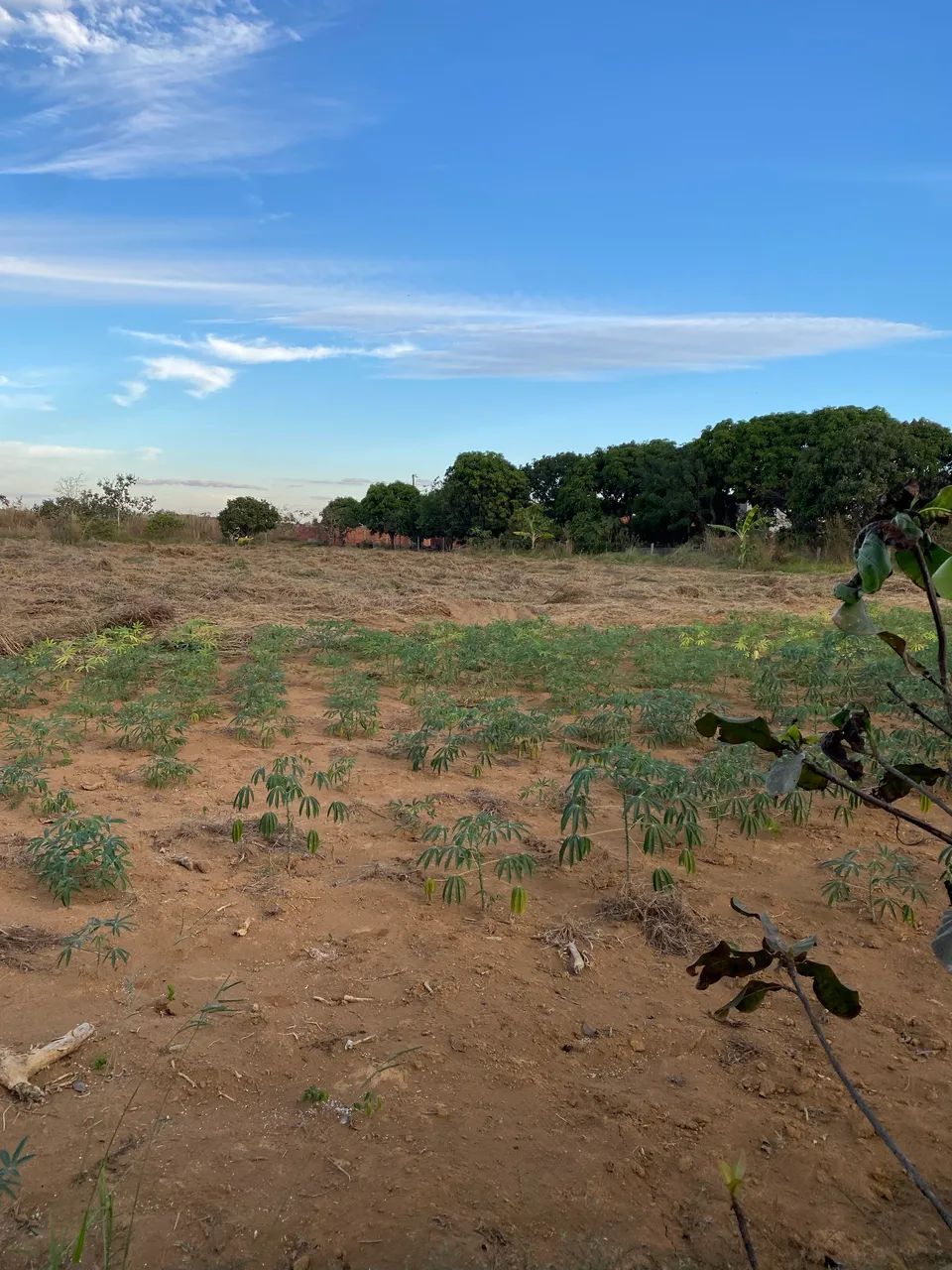 Chácara Jardim Peixoto-Anapolis 2.500mts
