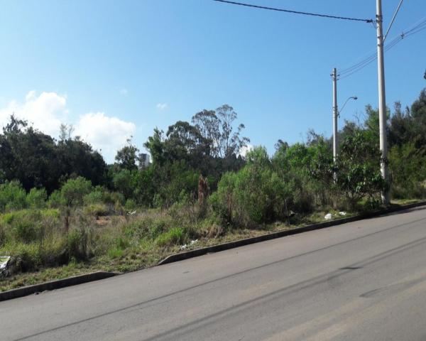 Terreno à venda em Guarujá, Porto alegre cod:T0610 - Foto 2
