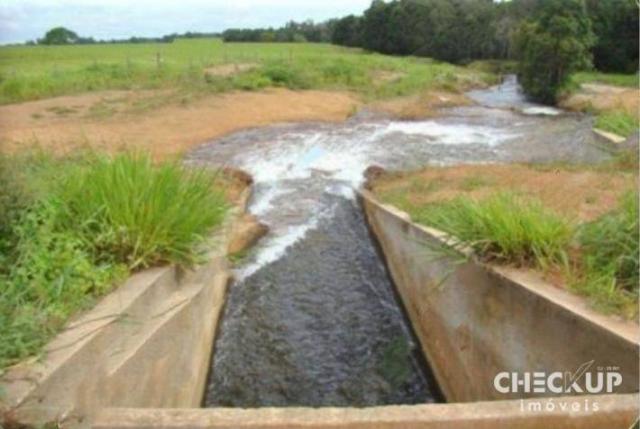 Fazenda à venda, 11.829 ha por R$ 500.000.000 - Zona Rural - Jussara/GO - Foto 8