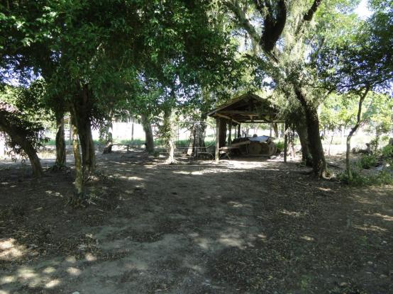 Terreno à venda em Praia do lessa, Imarui cod:30084 - Foto 5