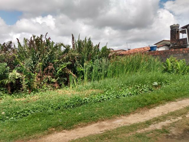 Vende um terreno - Foto 2