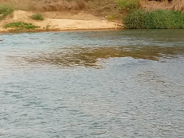 Chácara 30mts por 180 mts - Foto 4
