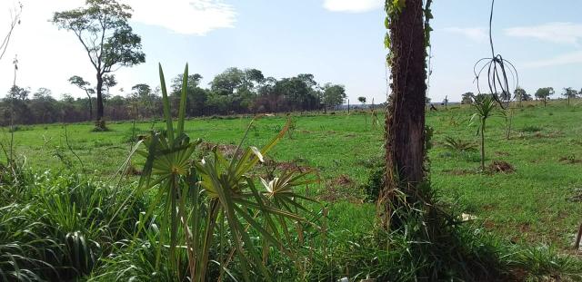 Chácara quinta do rio dourados - Foto 2