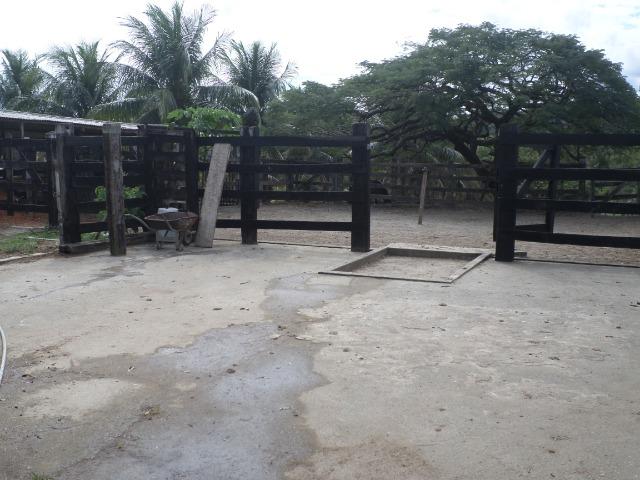 Sítio de 06 alqueires em Rio das Ostras, RJ - Foto 18