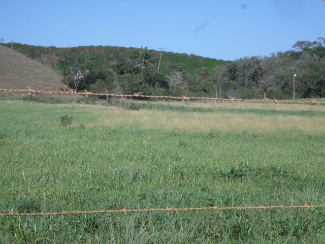 Fazenda de 154 alqueires em Silva Jardim, RJ - Foto 8