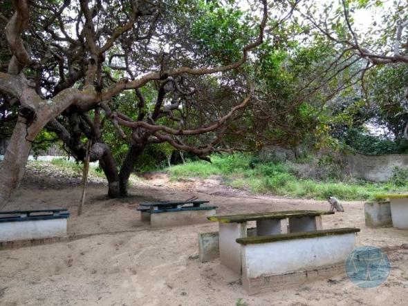 Terreno à venda em Lagoa do bonfim, Nísia floresta cod:10604 - Foto 12