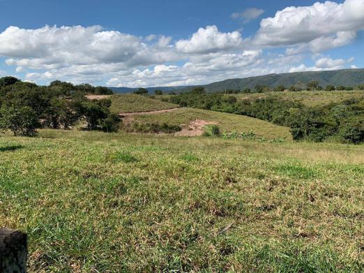 Sítio 70ha região acorizal 60km de cuiabá - Foto 5