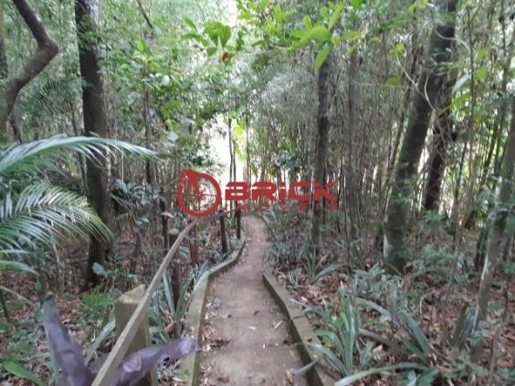 Ótimo terreno com 7390 m² no bom retiro. teresópolis- rj. - Foto 17