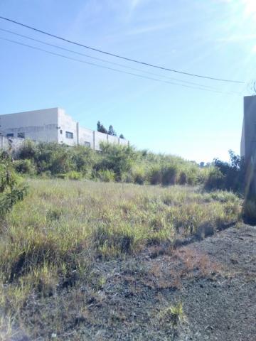 Terreno para alugar em Vila sao miguel, Apucarana cod:00097.008