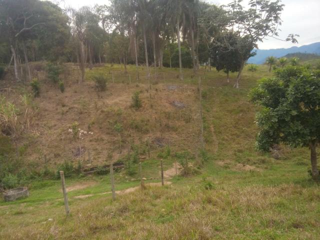 Belíssimo sítio em Cachoeiras de Macacu medindo 100.000m2 aceitando carta de crédito !!!! - Foto 11