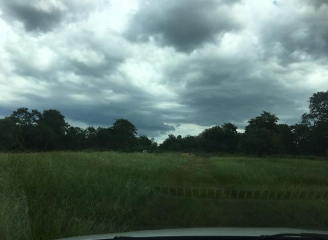 Fazenda de pecuária a venda 12 km porto nacional - Foto 4
