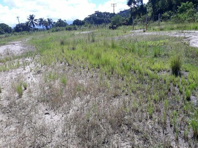 Belíssimo terreno em Guapimirim - Parada Ideal R$ 13 mil oportunidade!!! - Foto 10