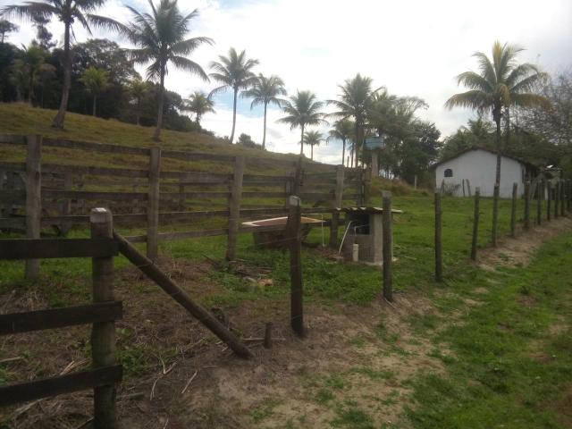 Belíssimo sítio em Cachoeiras de Macacu medindo 100.000m2 aceitando carta de crédito !!!! - Foto 3