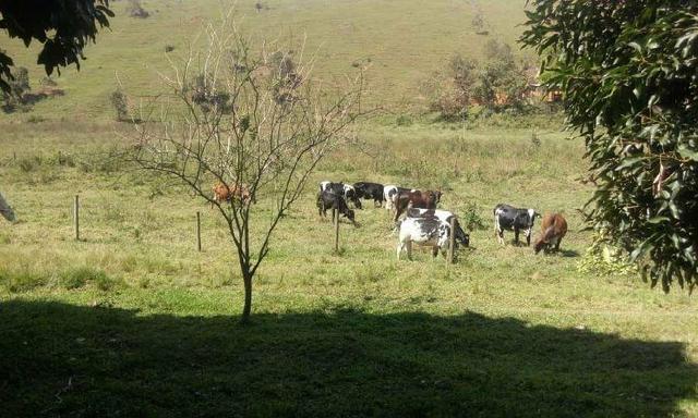 Linda fazendinha em Cachoeiras de Macacu medindo 242.000m2 oportunidade!!! - Foto 13