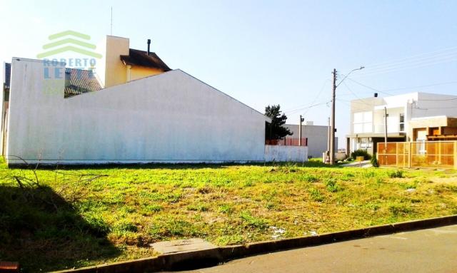 Terreno, Protásio Alves, Porto Alegre-RS - Foto 6