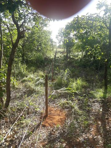 Oportunidade em Várzea da Palma MG vendo excelente chácara!! - Foto 9