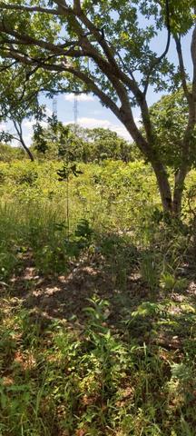 Oportunidade em Várzea da Palma MG vendo excelente chácara!! - Foto 15