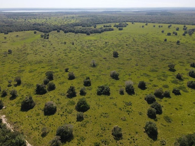 RS 812.240.000                              Fazenda de 40.612 mil hectares em Pium-TO - Foto 5