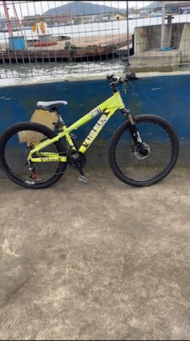 Bike Vikingx