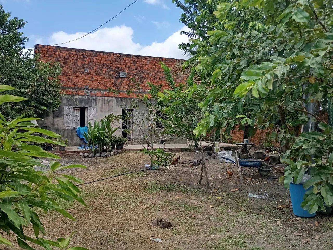 foto - Macapá - Renascer