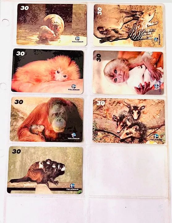 Kit Com 7 Cartões Telefônicos Baby Zoo 